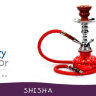 Shisha Shisha