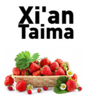 Strawberry xt - Клубника