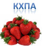 Клубника КХПА за 180 руб. Клубника КХПА за 180 руб.