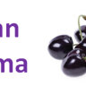 Black Cherry xt- Черная вишня за 220 руб. Black Cherry xt- Черная вишня за 220 руб.