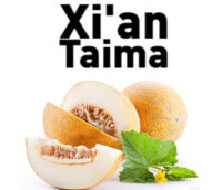 Melon xt - Дыня
