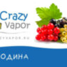 Baker Flavour Смородина за 170 руб.