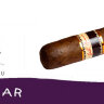 Cigar xt- Сигара за 250 руб. Cigar xt- Сигара за 250 руб.