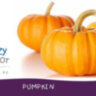 Pumpkin- Тыква за 150 руб. Pumpkin- Тыква за 150 руб.