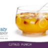 Ароматизатор TPA Citrus Punch** за 150 руб. Ароматизатор TPA Citrus Punch** за 150 руб.