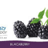 Ароматизатор TPA Blackberry за 150 руб.