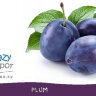 Ароматизатор TPA Plum за 150 руб. Ароматизатор TPA Plum за 150 руб.