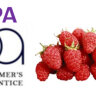 Ароматизатор TPA Raspberry (Sweet) за 150 руб. Ароматизатор TPA Raspberry (Sweet) за 150 руб.