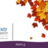 Maple**- Кленовый за 150 руб. Maple**- Кленовый за 150 руб.