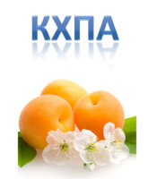 Абрикос КХПА