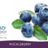 Ароматизатор TPA Huckleberry за 150 руб.