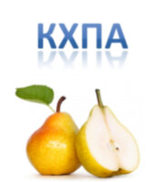 Груша КХПА
