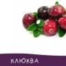 Клюква