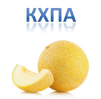 Дыня КХПА