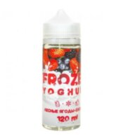 FROZEN yoghurt Лесные ягоды- Ежевика 120ml 1