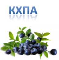 Черника КХПА