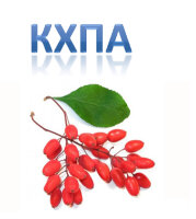 Барбарис КХПА